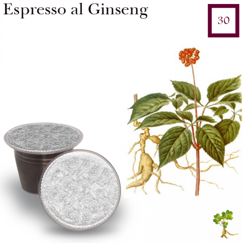 100 Nespresso compatible pods 🇮🇹 Espresso Coffee w. Ginseng